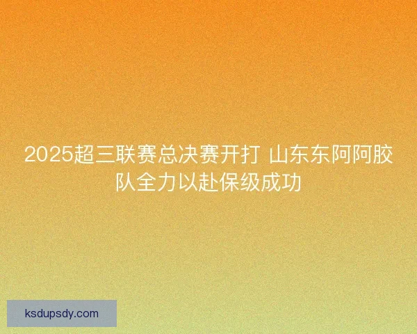 2025超三联赛总决赛开打 山东东阿阿胶队全力以赴保级成功