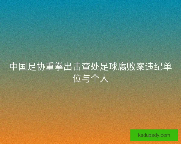 中国足协重拳出击查处足球腐败案违纪单位与个人