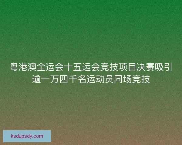 粤港澳全运会十五运会竞技项目决赛吸引逾一万四千名运动员同场竞技